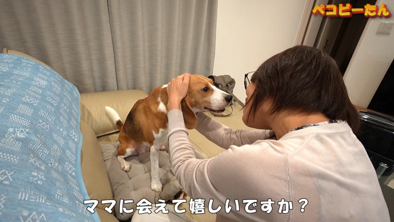 たっぷりナデナデ…