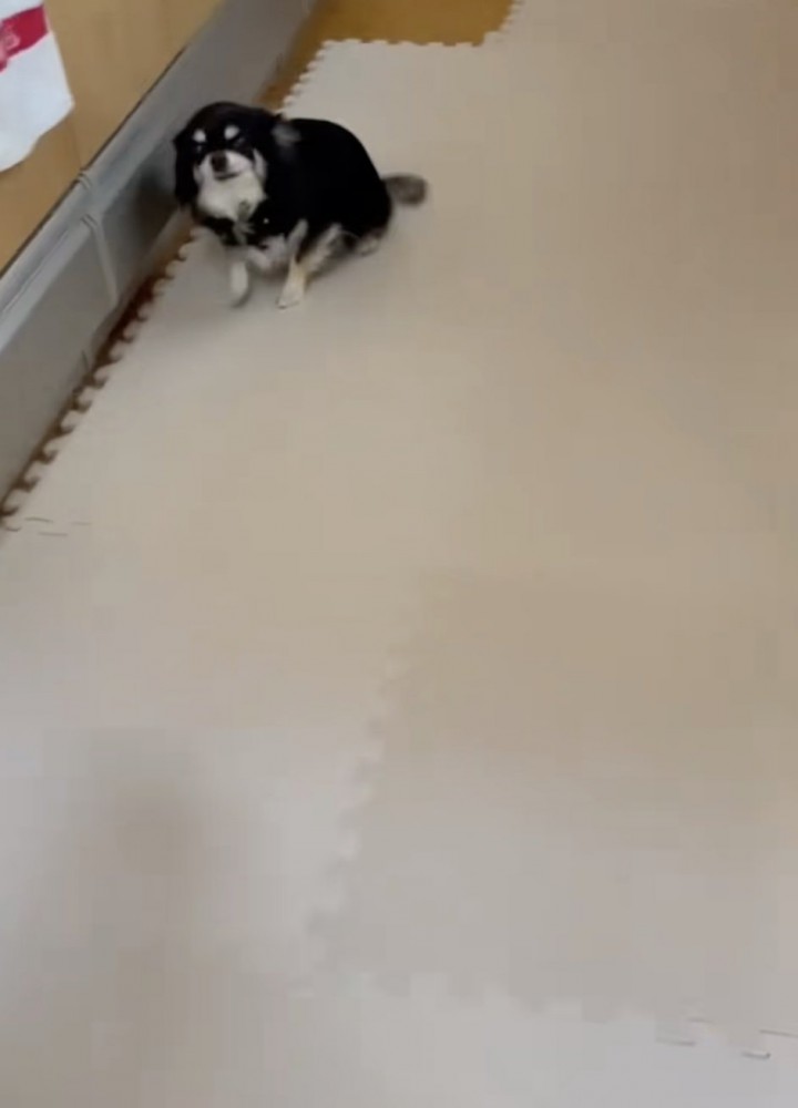 もう止まれません！