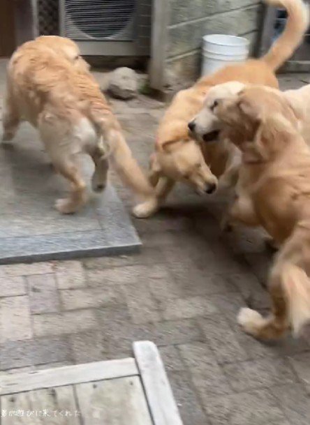 兄さん・お姉さんに！！