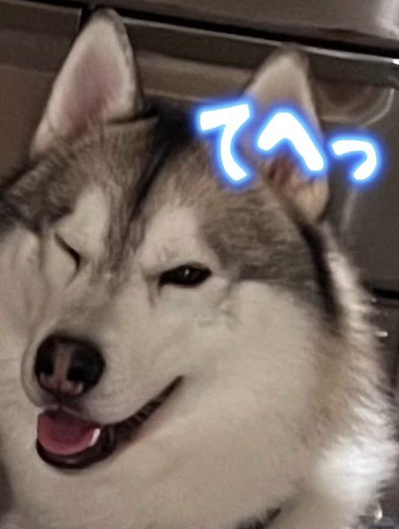 犯人はルークちゃん