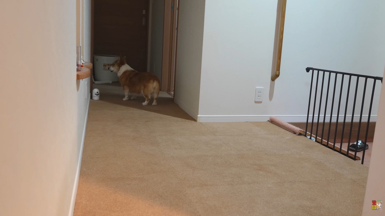 お兄ちゃんの部屋を見に行って…
