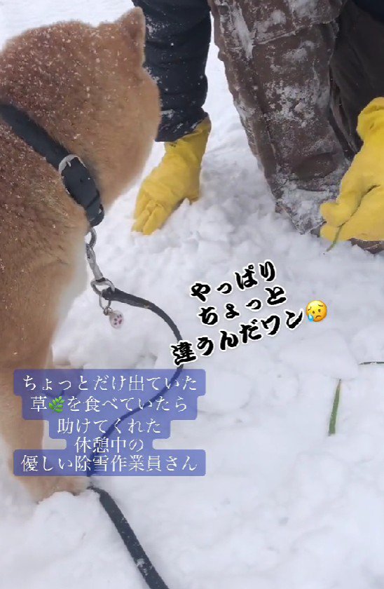 「これじゃない」