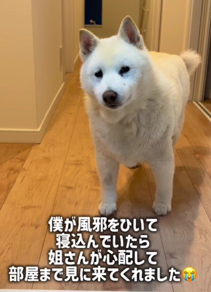 「大丈夫なの…？」