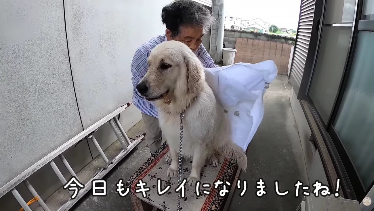 ご褒美ももらえたよ！！