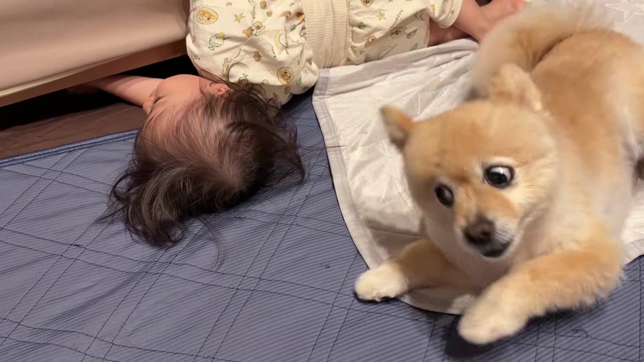 赤ちゃんの動きにびっくり！