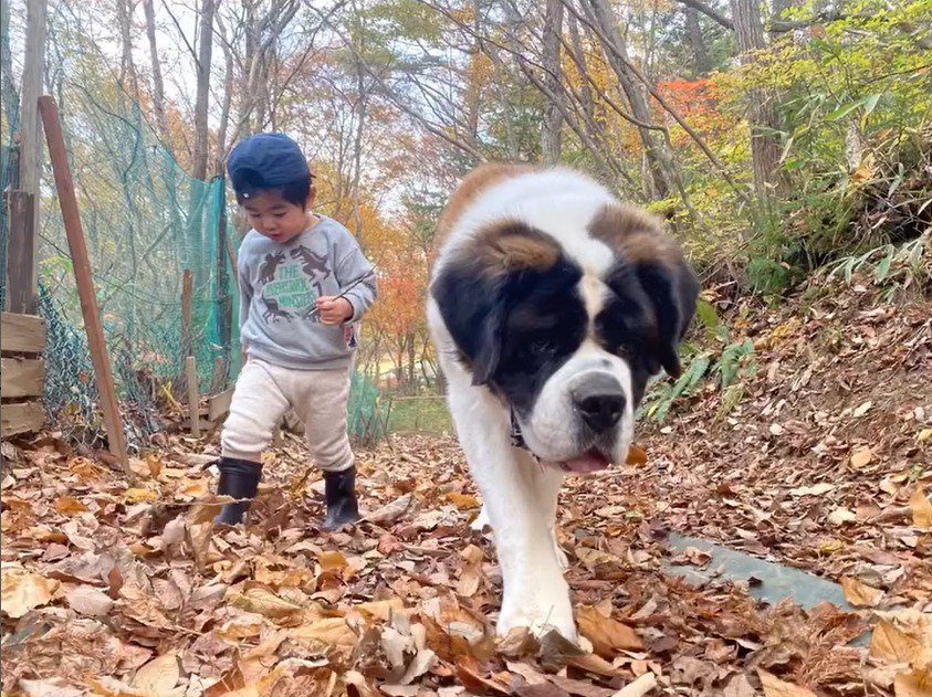 カイザーくんとの思い出8