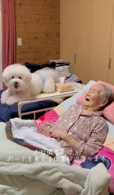 温かな視線を向けるおばあちゃん