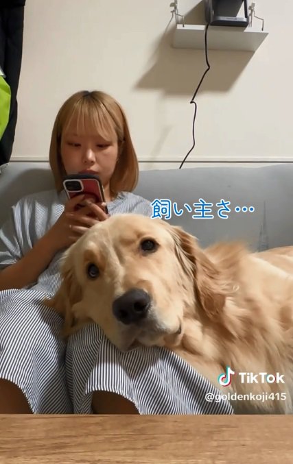 スマホを見る投稿主さん