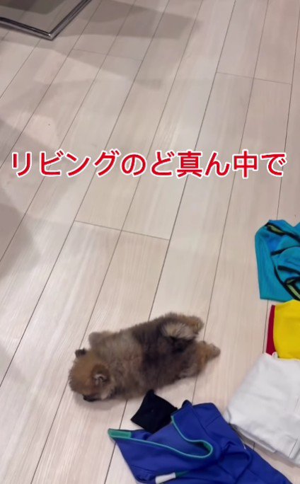 家の中を歩いていると…