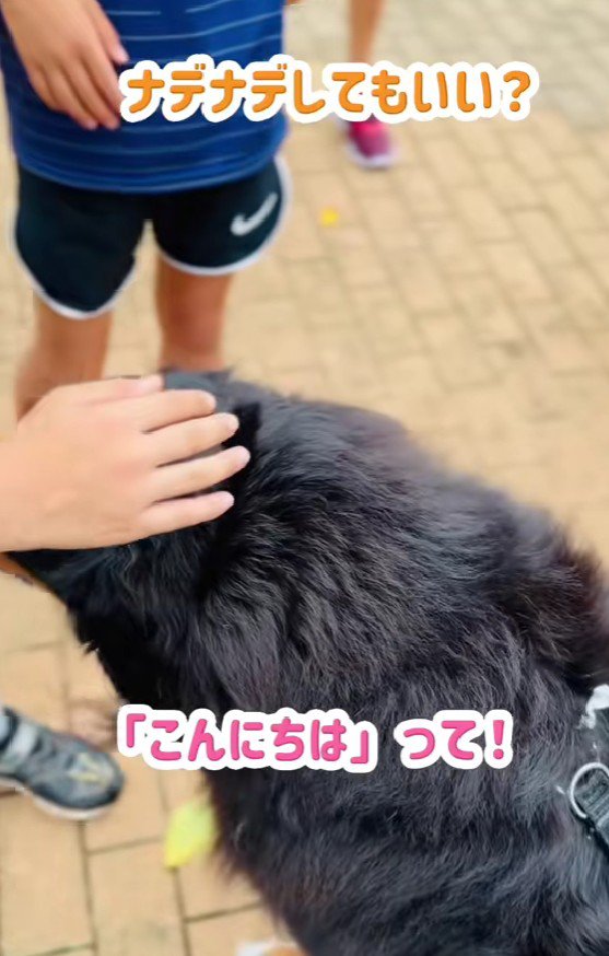 「触ってもいいですか？」