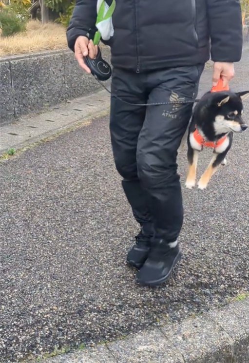抱えられて横を向く犬3