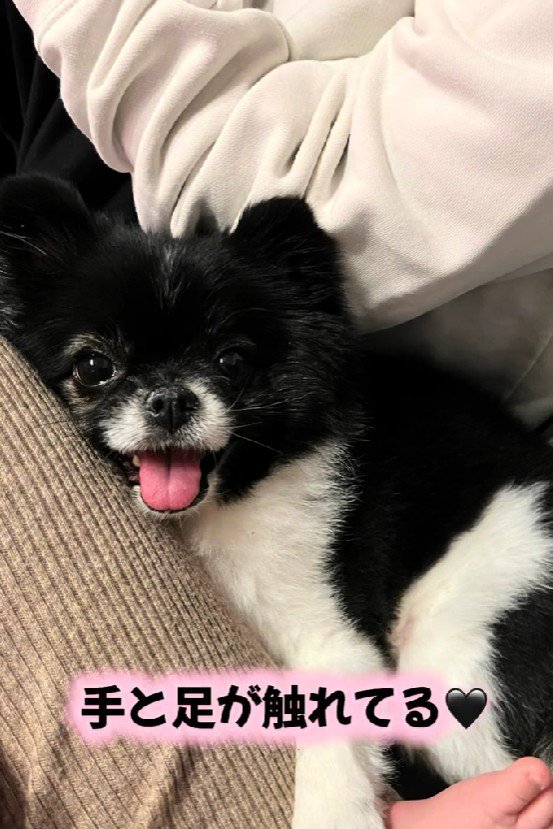 赤ちゃんと手足が当たってる！！