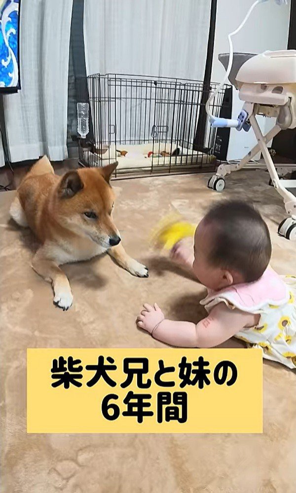 ロック君と赤ちゃん