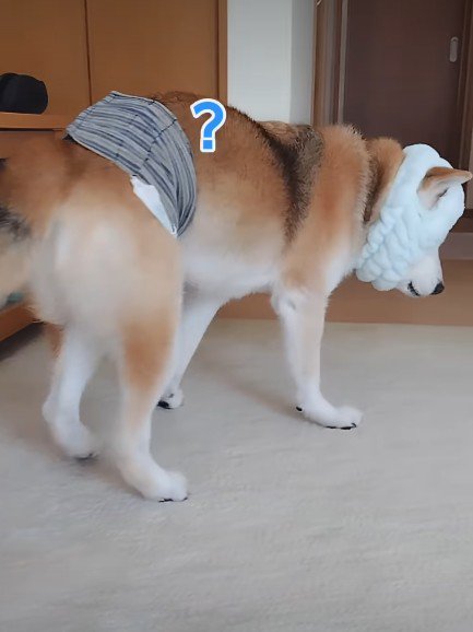 「？？」