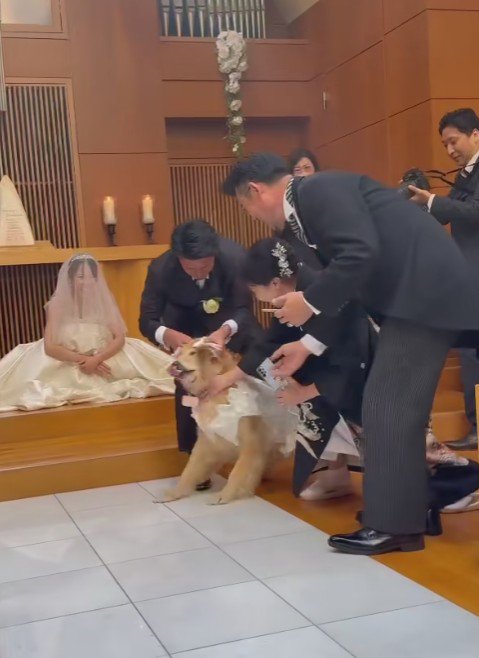 お父さんの元へ