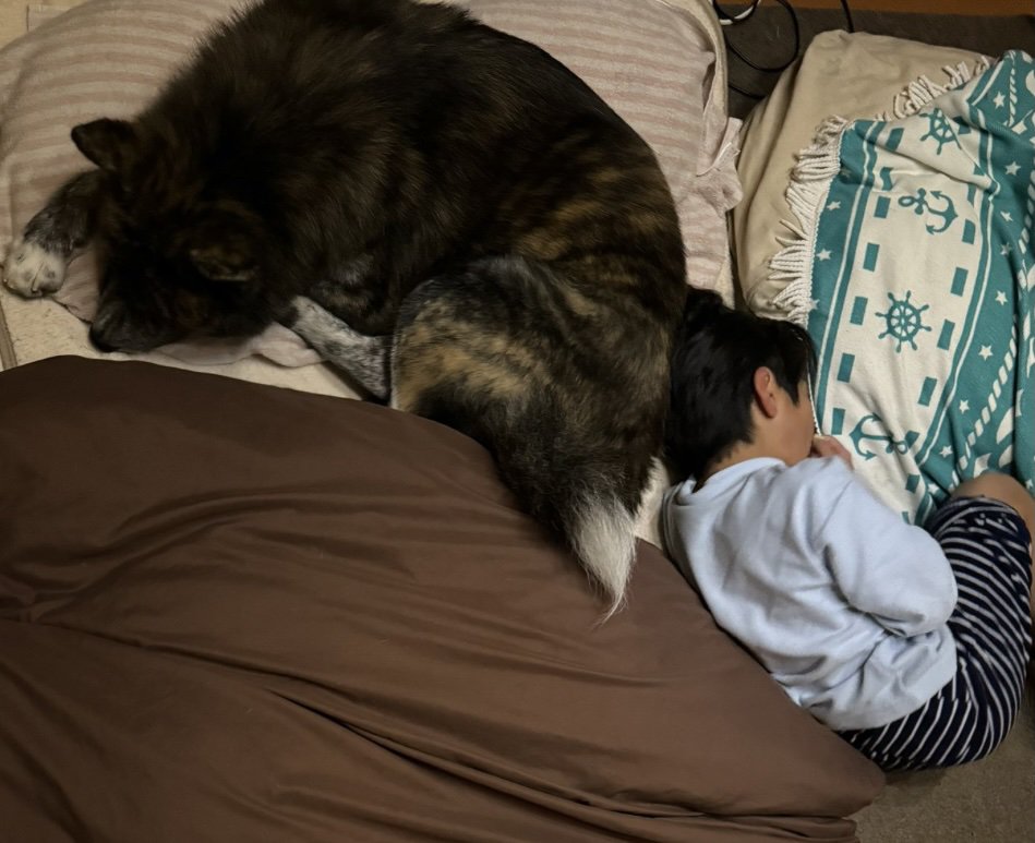 完全に押し出されてしまったお兄ちゃん