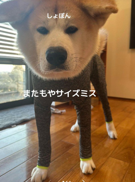 サイズを間違えた！！