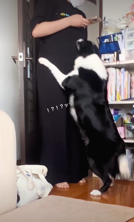 タックルを披露！！