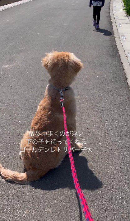 じっと待つシンバちゃん