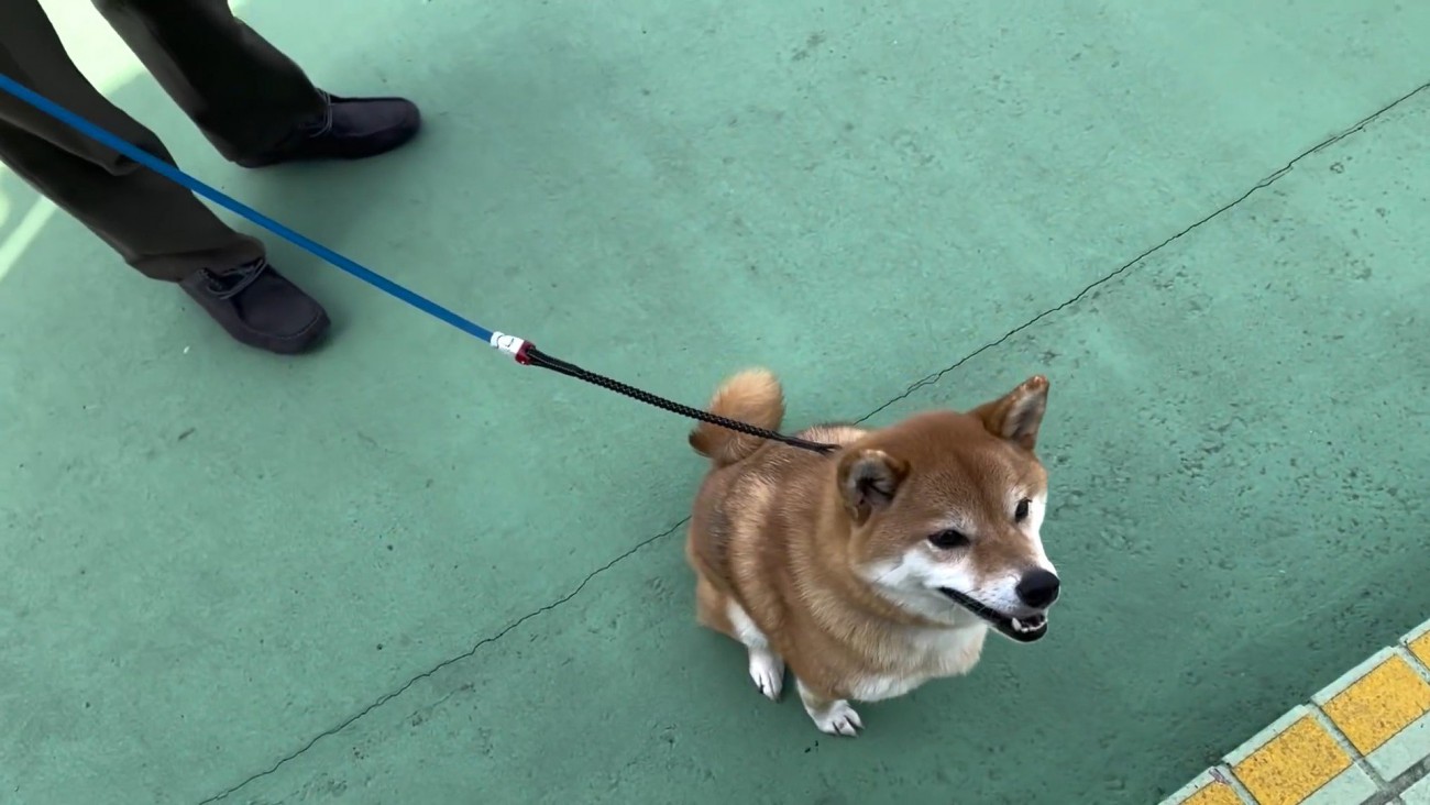 「無事でよかった」とニッコリ