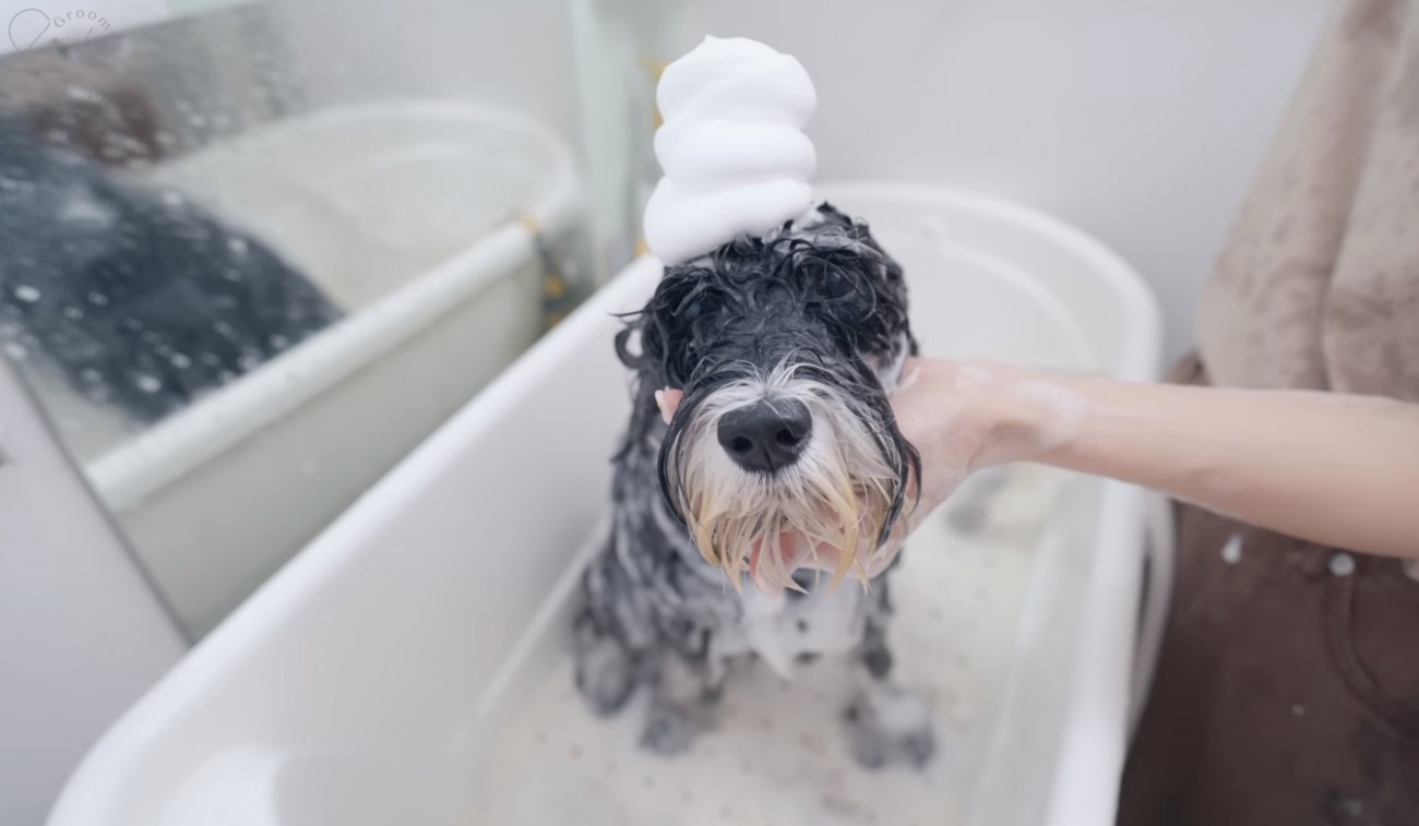 モッコモコの泡！