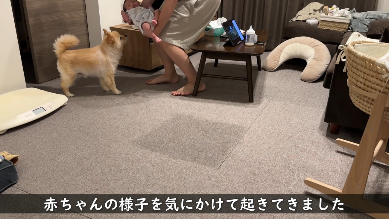 夜中も起きて様子を見にきます