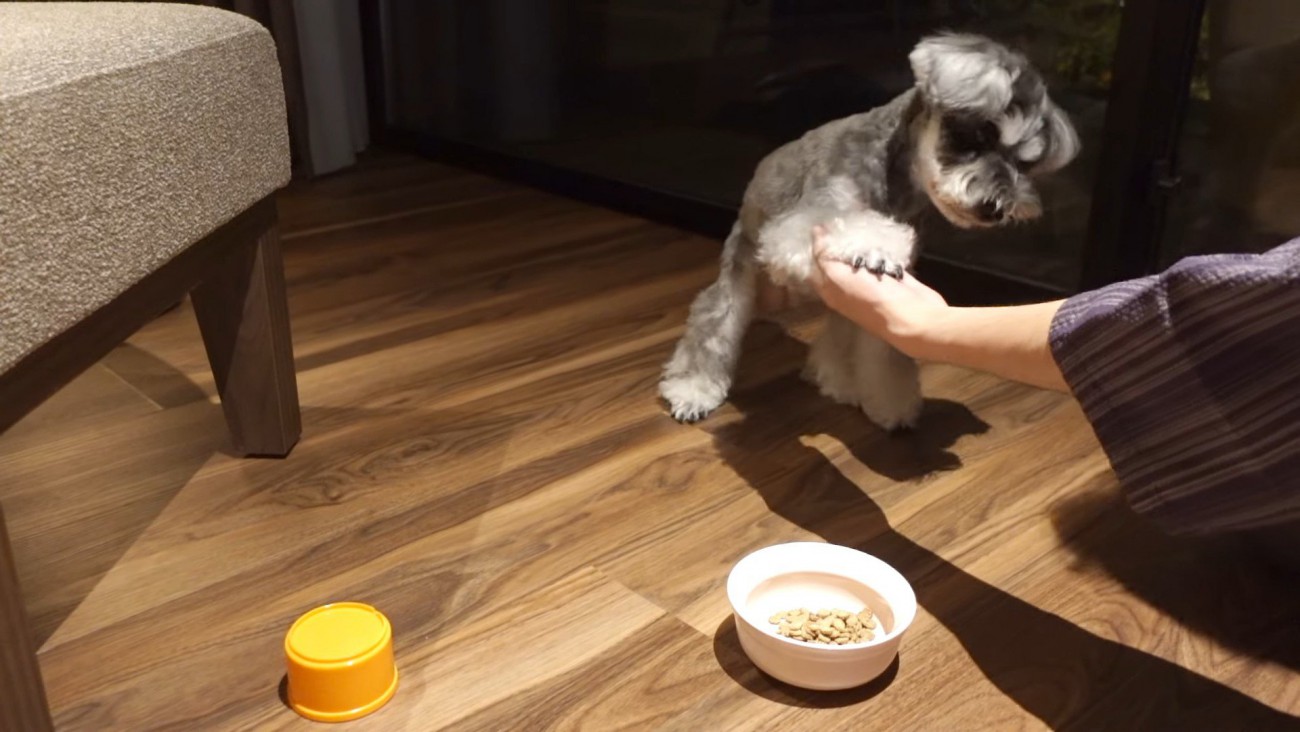 旅行中のティノちゃん5