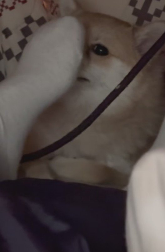 目が合っちゃった