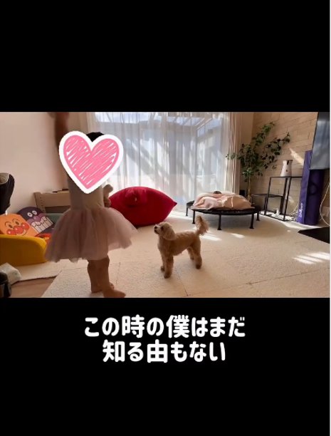 赤ちゃんと絵本を見る犬