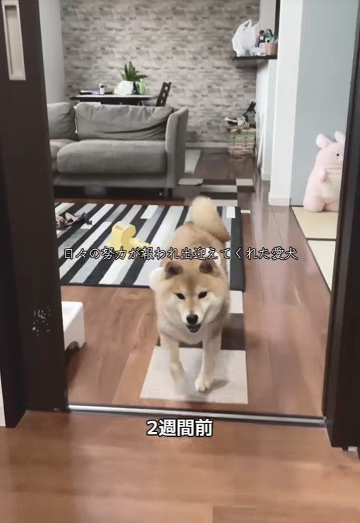 おやつをあげたら来てくれるように♪