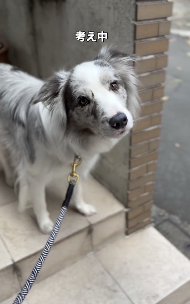 パパの言葉をちゃんと聞きます