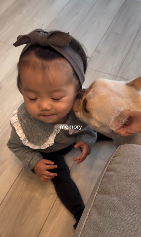 ぶうちゃんと赤ちゃん⑩