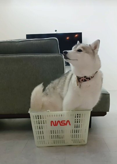 くるっと回って…