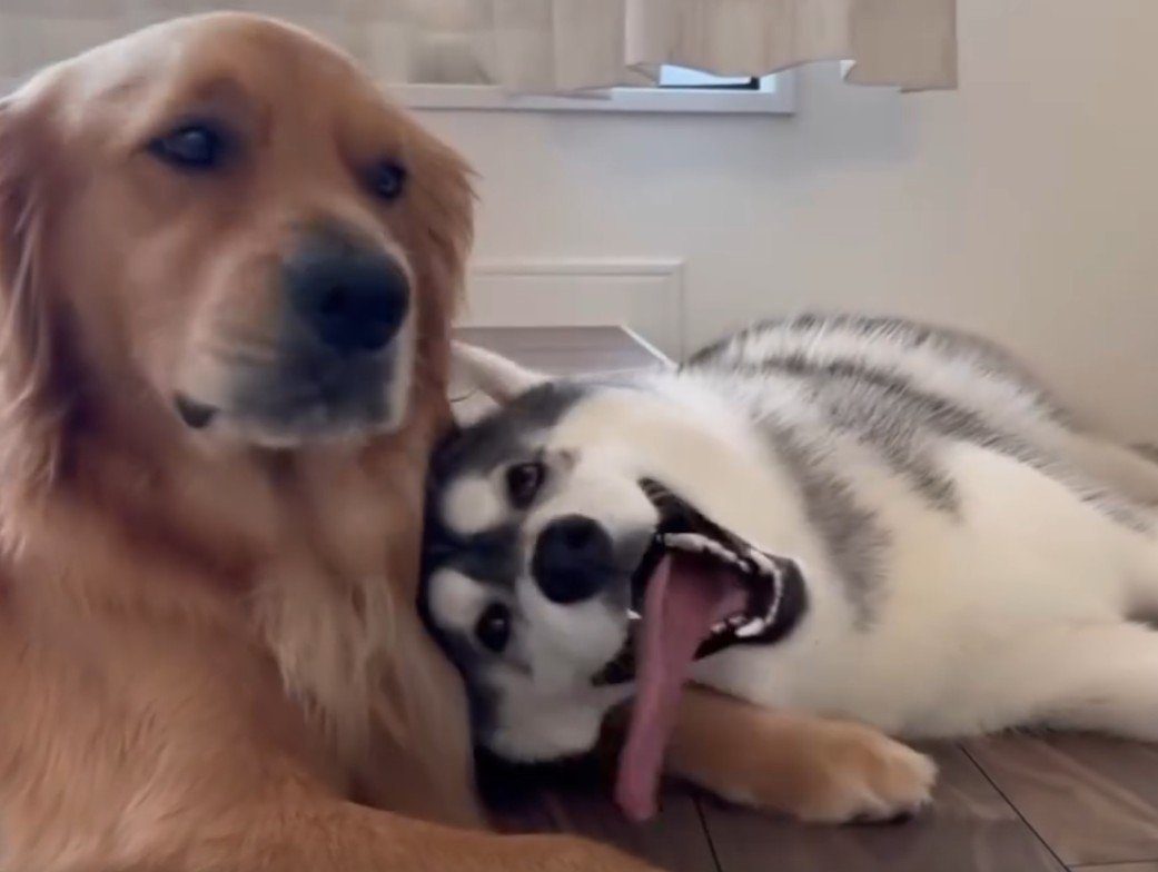 「まったくもう…」