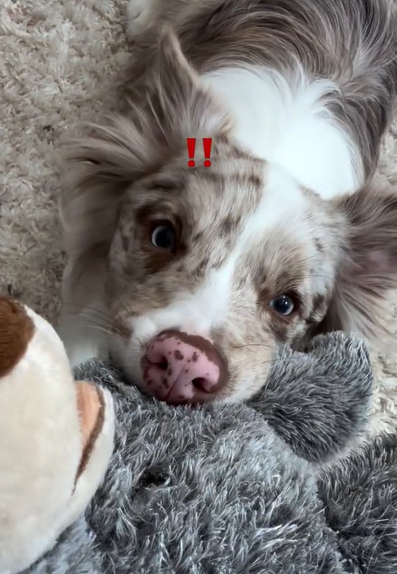 びっくりして起きたRALくん