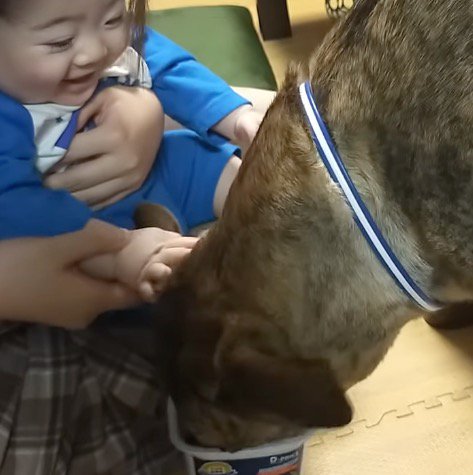 近づく犬を見て笑顔になる赤ちゃん