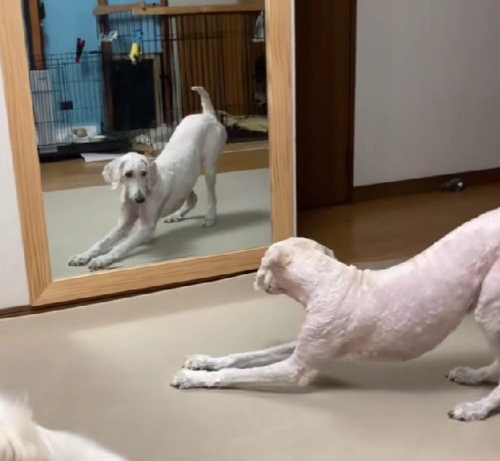 「イケてる…？？」