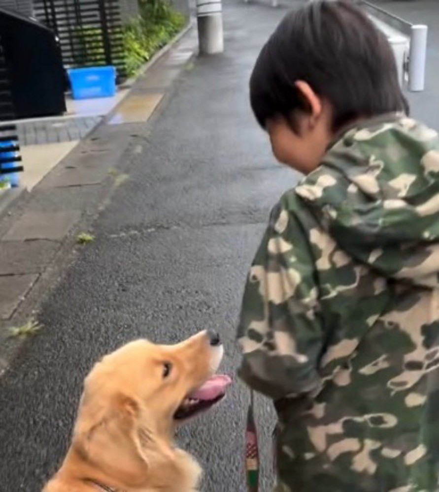散歩中に見つめ合う犬と男の子