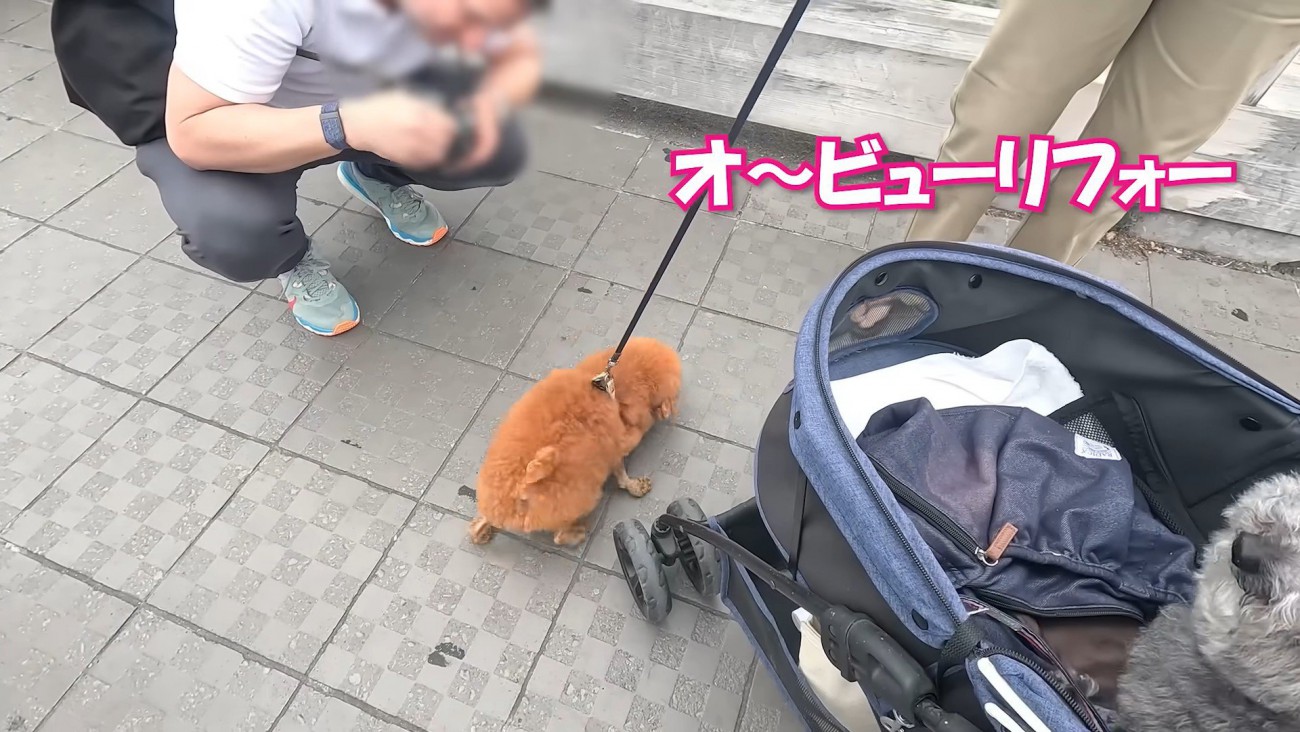 「ビューティフォー！」