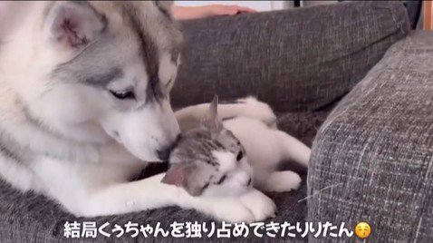 くぅちゃんを離さないりりたん8