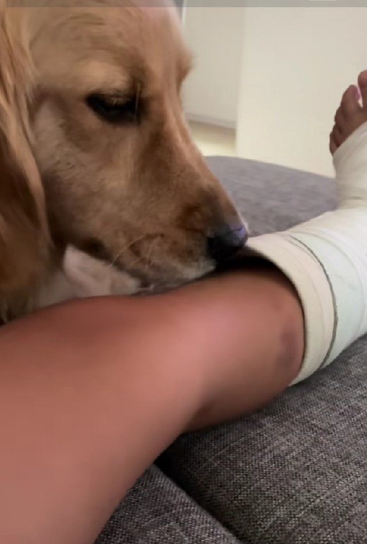 「ん？隙間がある…」