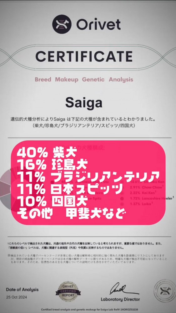 犬の遺伝子検査結果のデータ