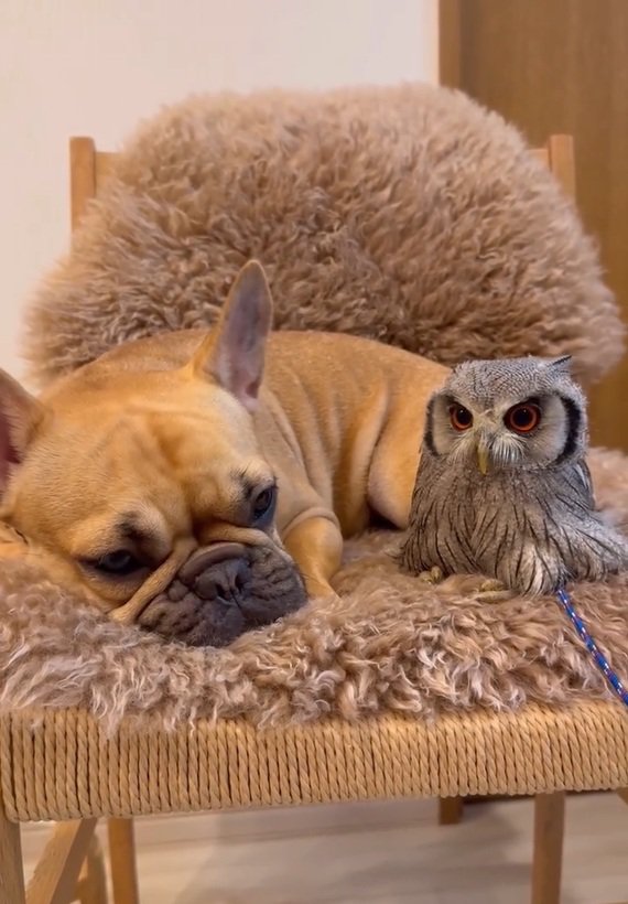 仲良しなおとちゃんとはっさくくん