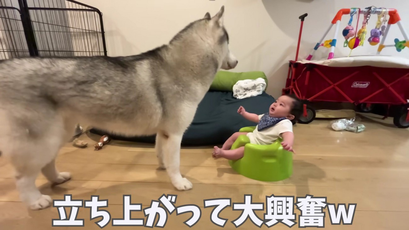 刺激をもらうことも♪