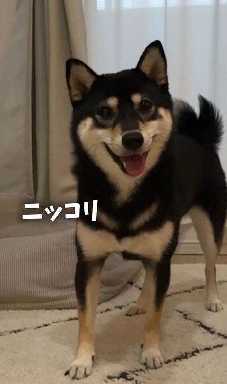 ボールで遊ぶはるちゃん2