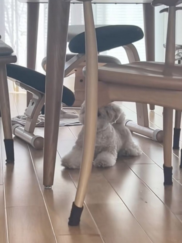 再び溶けてゆく…