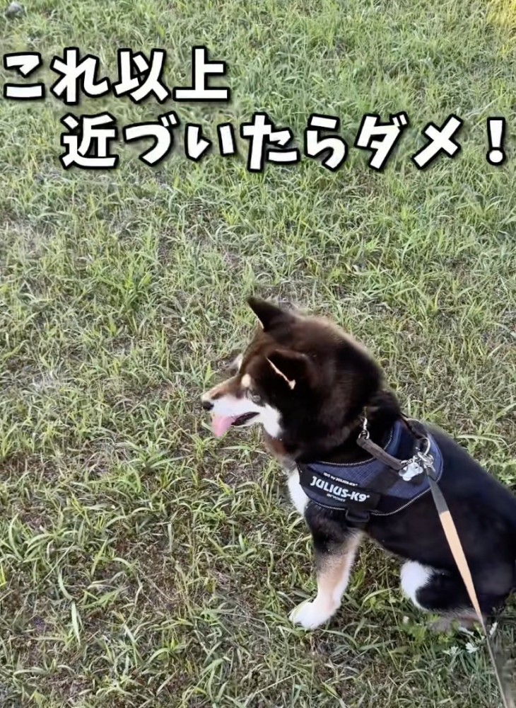 終わらない座り込み