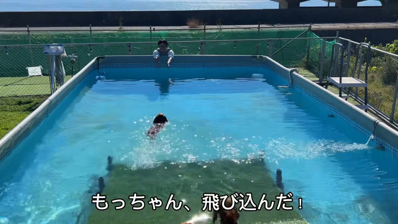 勇気を出して水の中へ