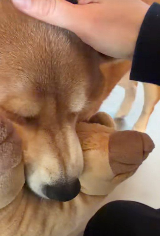 「寂しかったよ～」