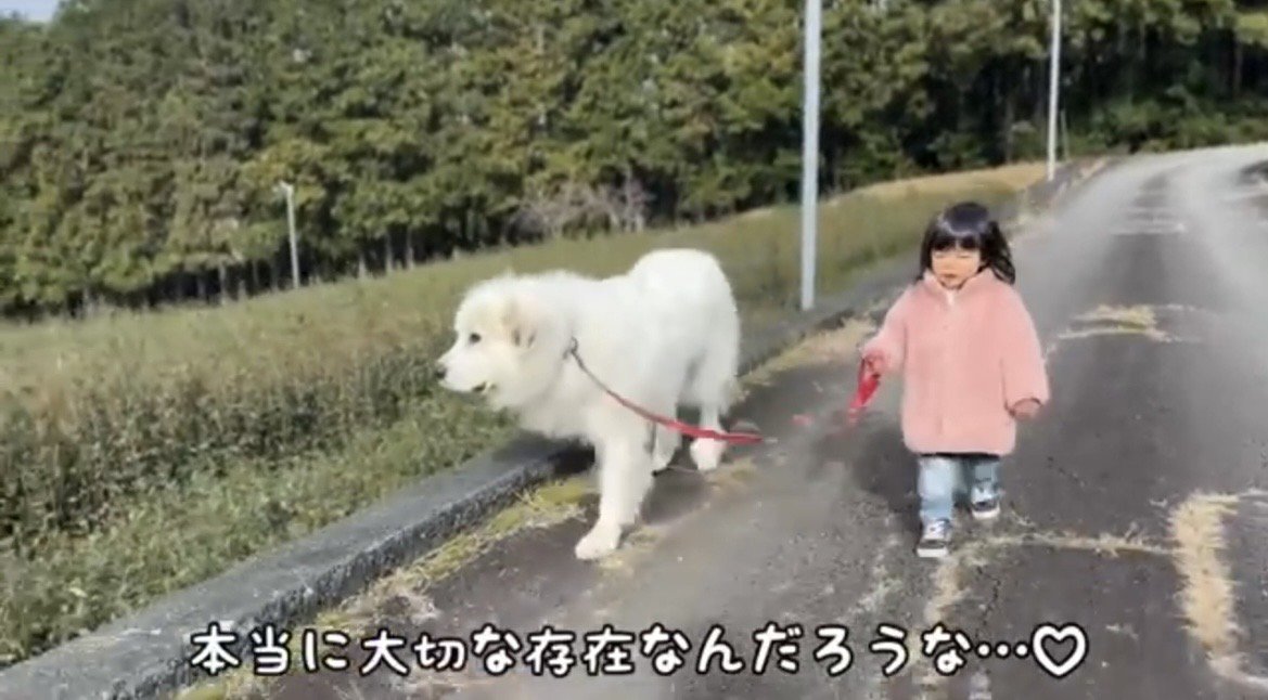 リードを握って歩く子どもと犬